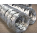 Electro & Hot Dipped Galvanized Iron Wire Factory (W-COIL)